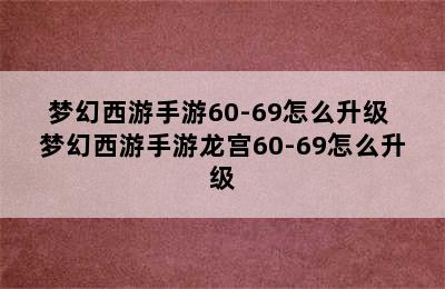 梦幻西游手游60-69怎么升级 梦幻西游手游龙宫60-69怎么升级